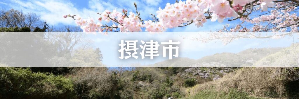 摂津市遺品整理高齢化・空き家問題に対応した安心サービス 