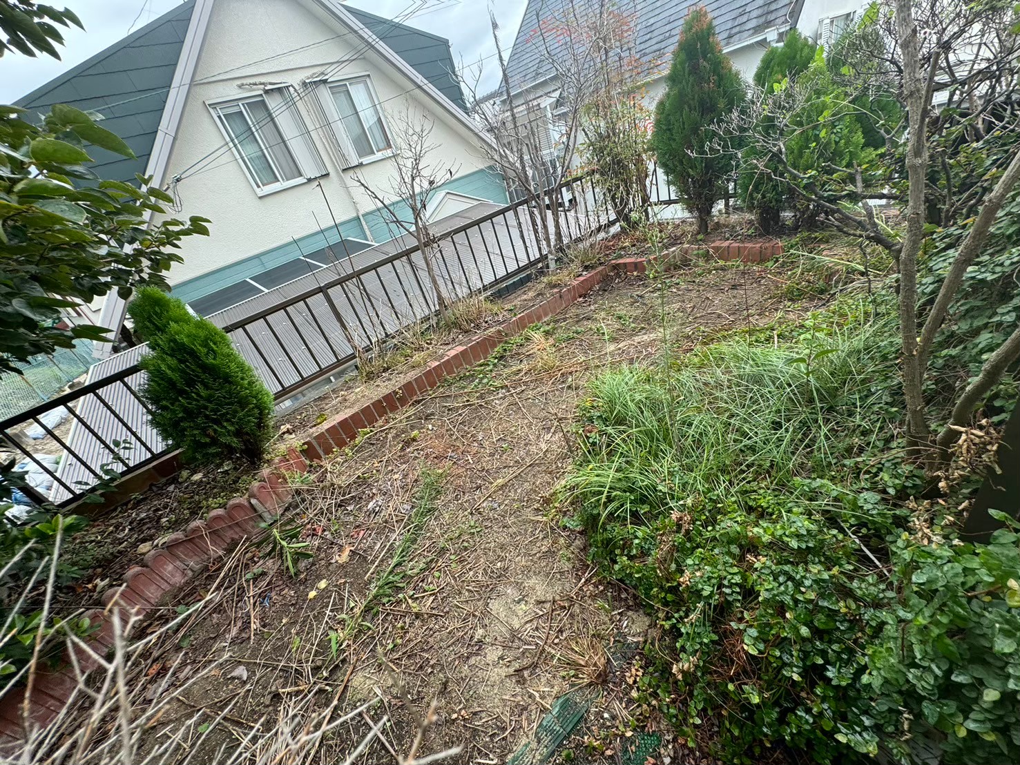 貝塚市作業事例依頼者様の実際の現場写真After画像4庭