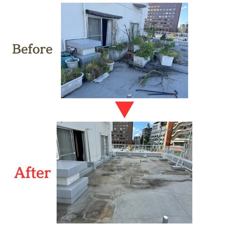 ベランダ植木処分Before after