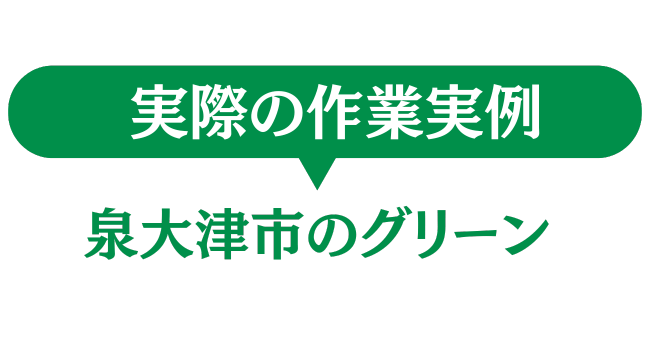 泉大津市のグリーン　実際の作業事例