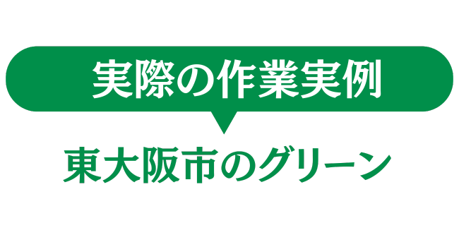東大阪市のグリーン　実際の作業実例