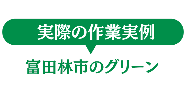 富田林市のグリーン　実際の作業事例