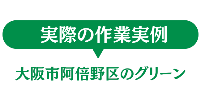 大阪市阿倍野区のグリーン　実際の作業実例
