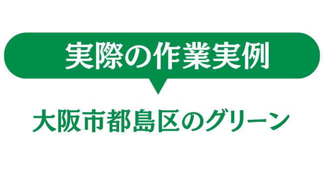 大阪市都島区のグリーン　実際の作業実例
