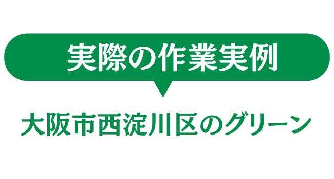 大阪市西淀川区のグリーン　実際の作業実例