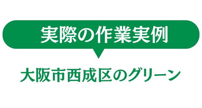大阪市西成区のグリーン　実際の作業実例