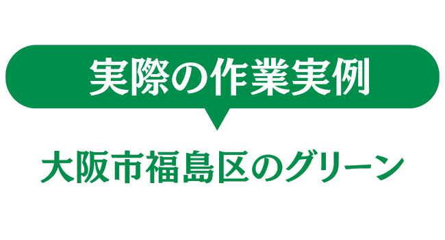 大阪市福島区のグリーン　実際の作業実例