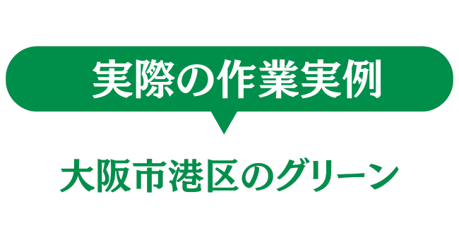 大阪市港区のグリーン　実際の作業実例