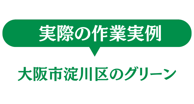 大阪市淀川区のグリーン　実際の作業実例
