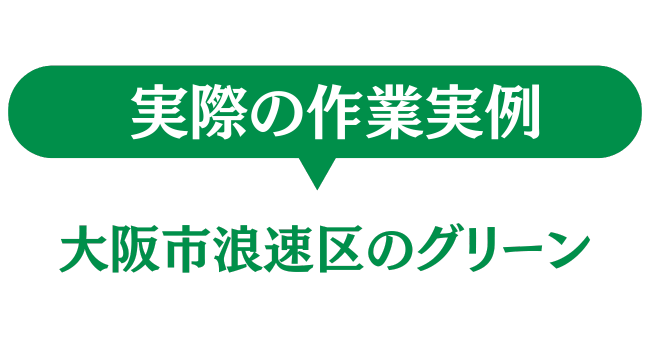大阪市浪速区のグリーン　実際の作業実例

