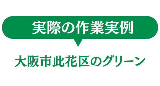 大阪市此花区のグリーン　実際の作業実例
