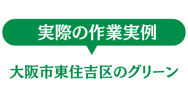 大阪市東住吉区のグリーン　実際の作業実例