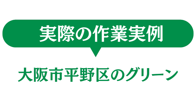 大阪市平野区のグリーン　実際の作業実例