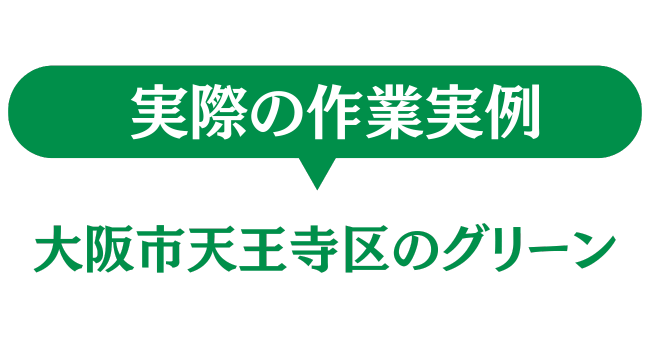 大阪市天王寺区のグリーン　実際の作業実例