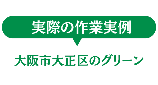 大阪市大正区のグリーン　実際の作業実例
