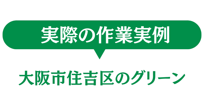 大阪市住吉区のグリーン　実際の作業実例

