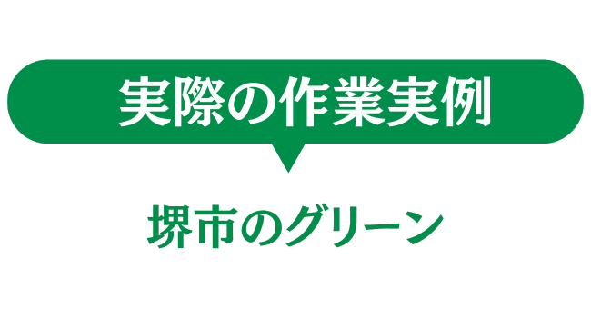 堺市のグリーン　実際の作業実例