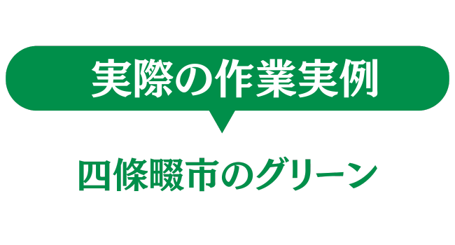 四條畷市のグリーン　実際の作業実例