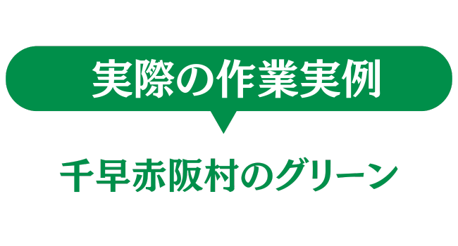 千早赤阪村のグリーン　実際の作業実例
