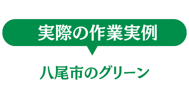 八尾のグリーン　実際の作業実例