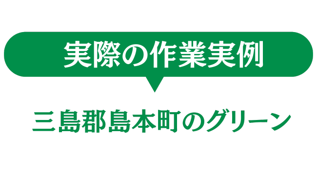 三島郡島本町のグリーン　実際の作業実例