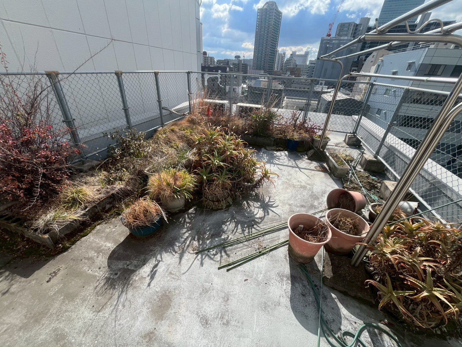 大阪市天王寺区作業事例依頼者様の実際の現場写真Before画像