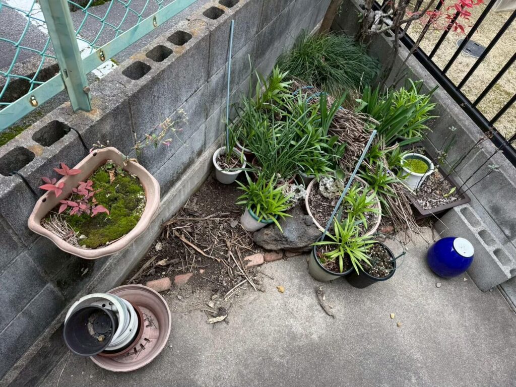 堺市作業事例実際の現場写真画像庭