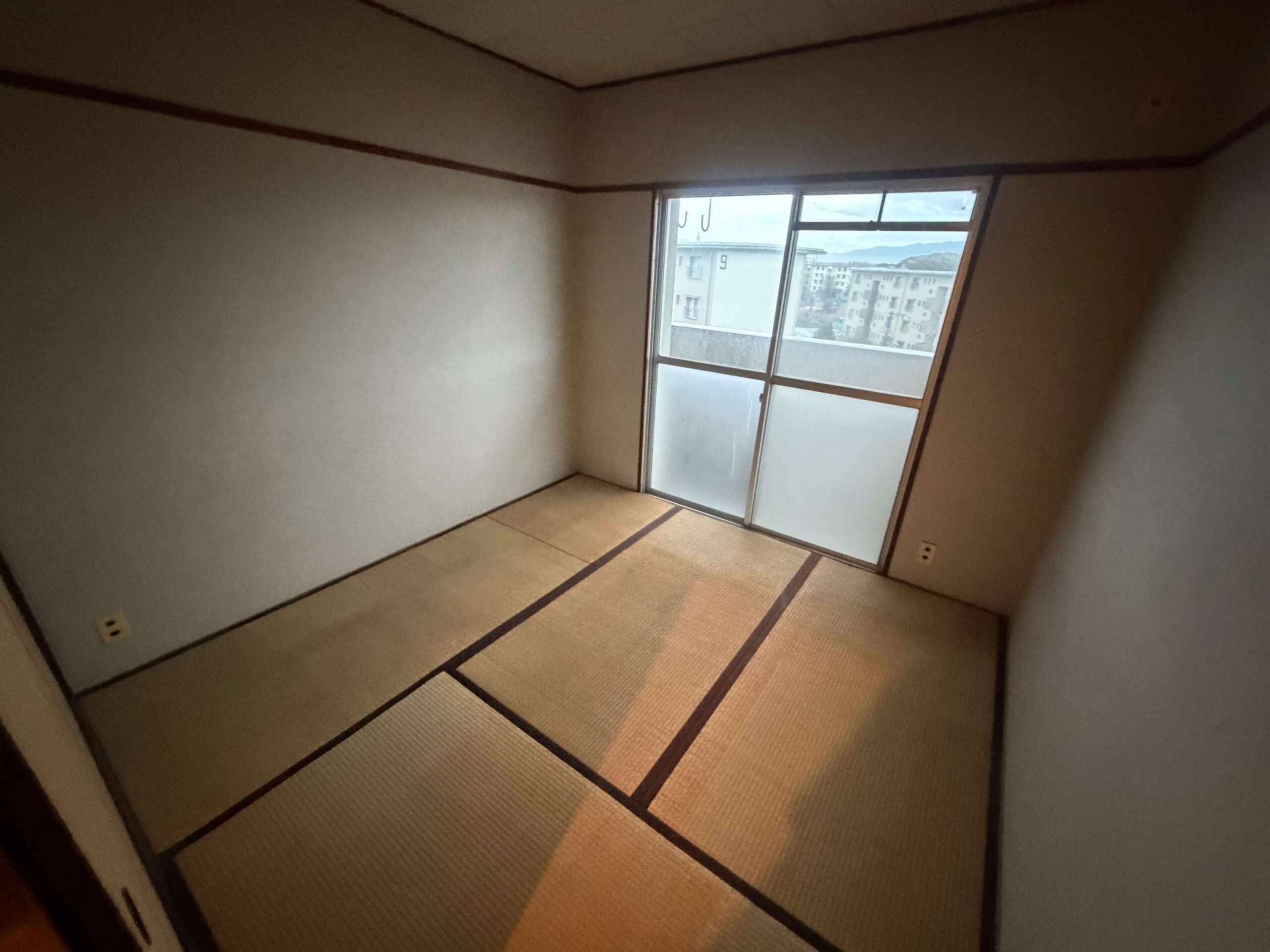 和泉市作業事例実際の現場写真After画像部屋