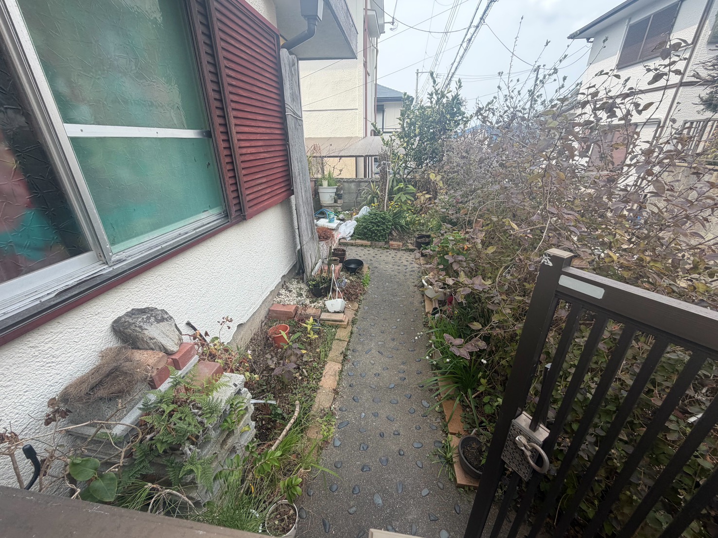 阪南市作業事例実際の現場写真Before画像2庭